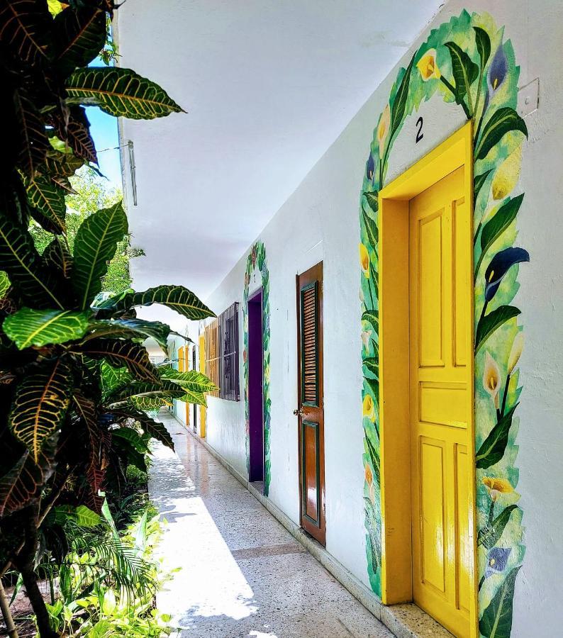Hotel Posada Edem 科苏梅尔 外观 照片