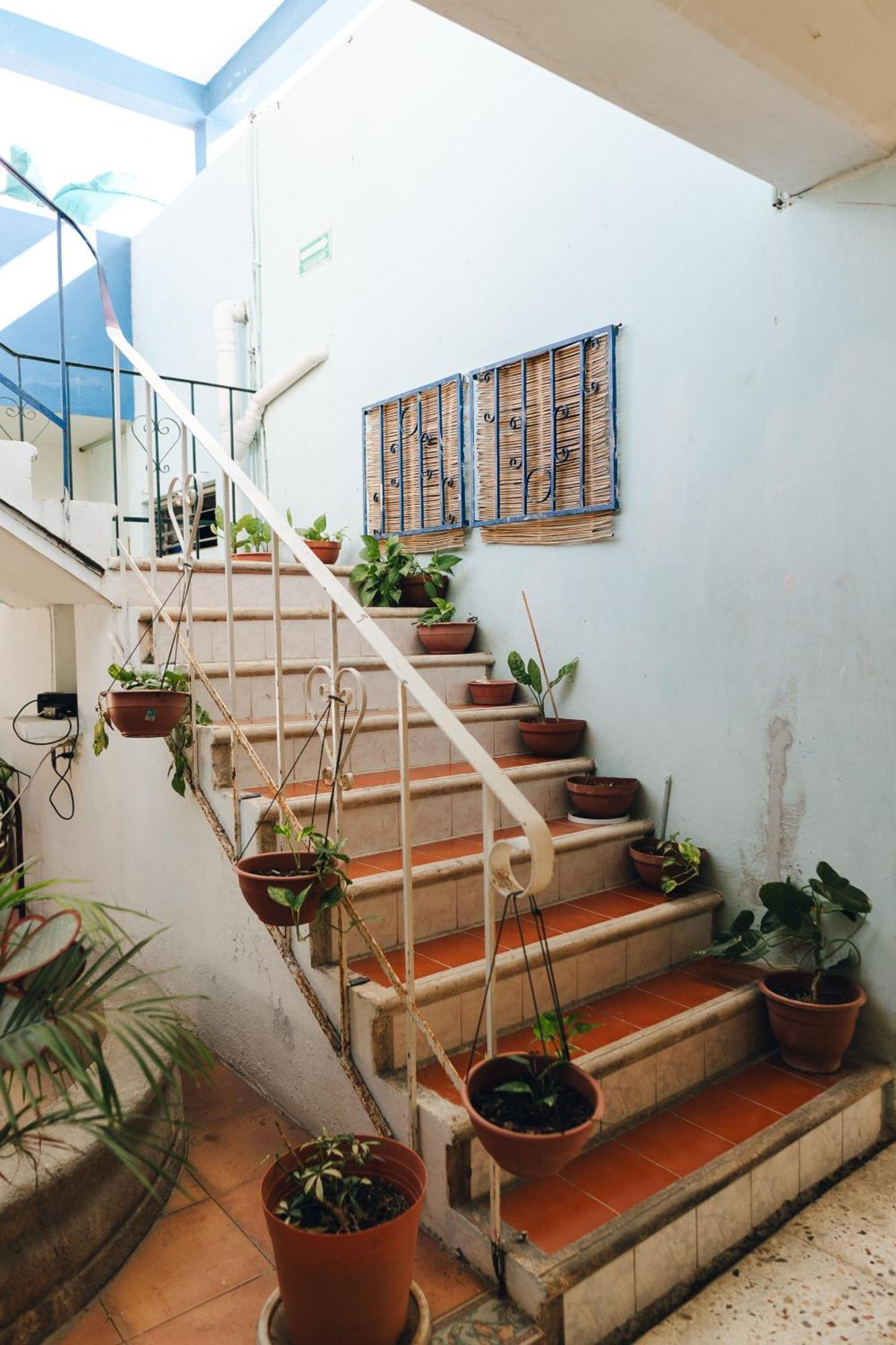 Hotel Posada Edem 科苏梅尔 外观 照片