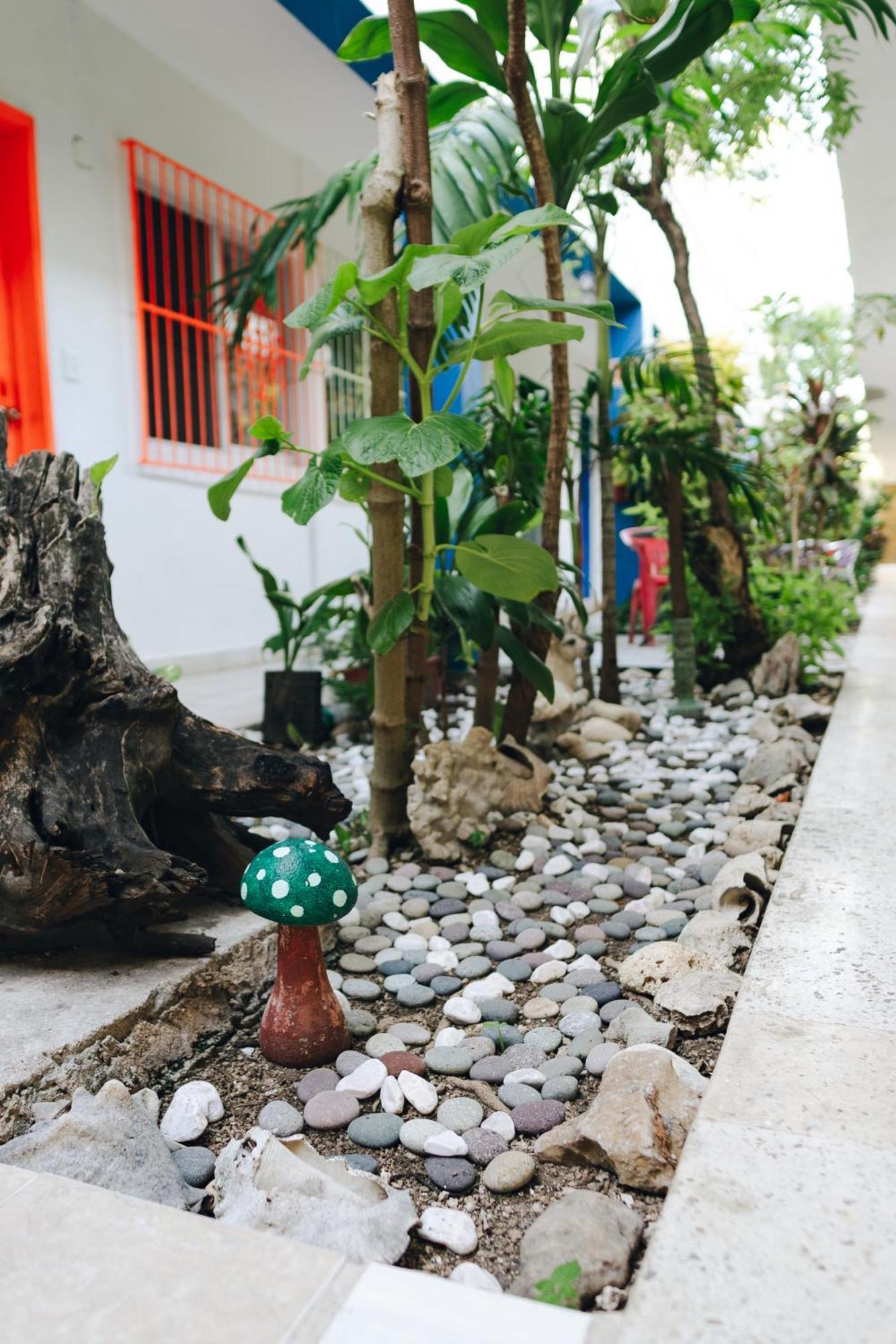 Hotel Posada Edem 科苏梅尔 外观 照片