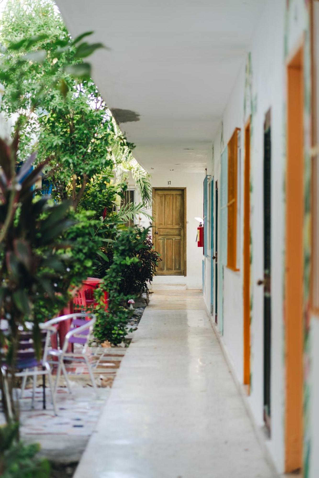 Hotel Posada Edem 科苏梅尔 外观 照片