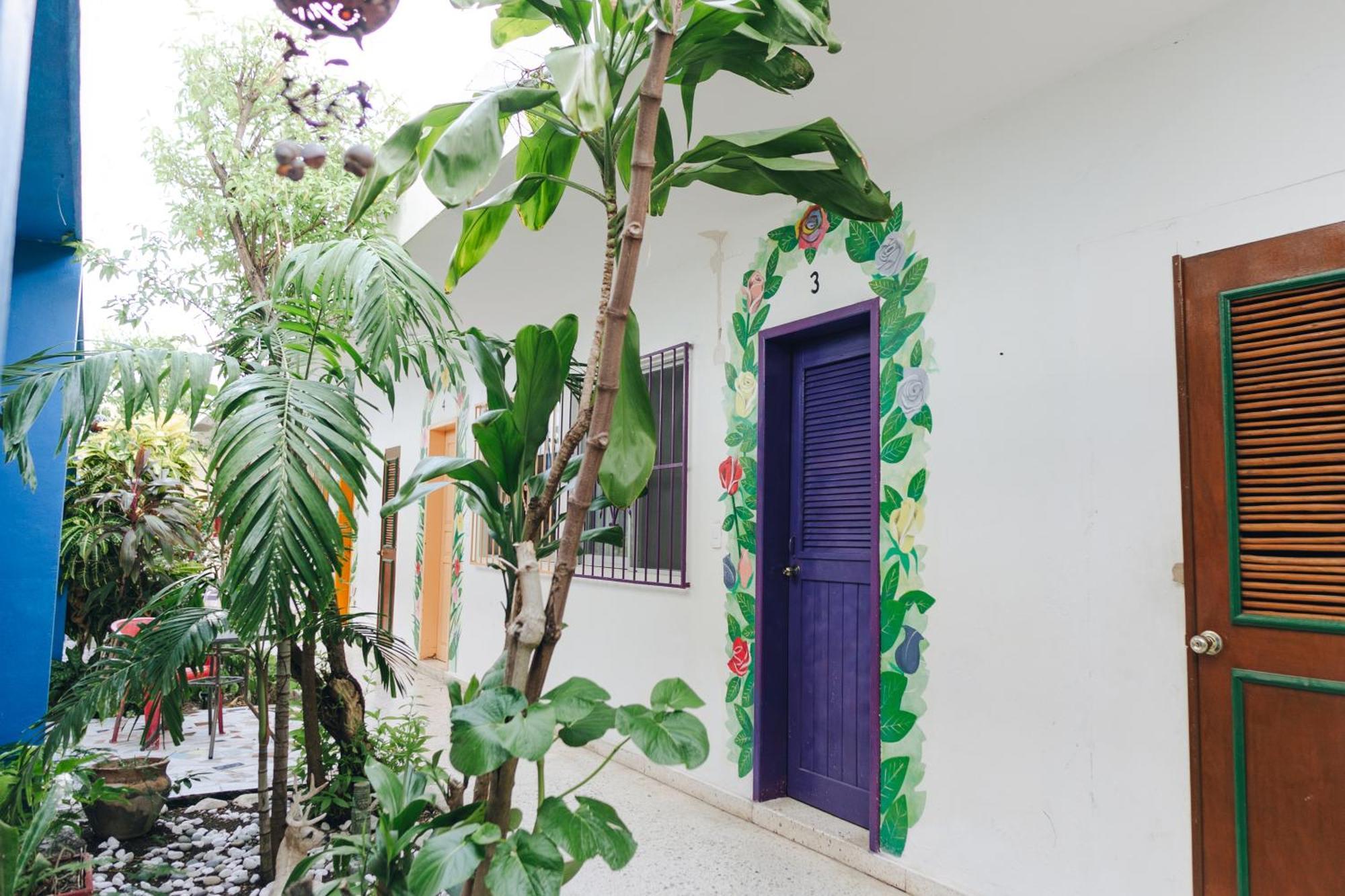 Hotel Posada Edem 科苏梅尔 外观 照片