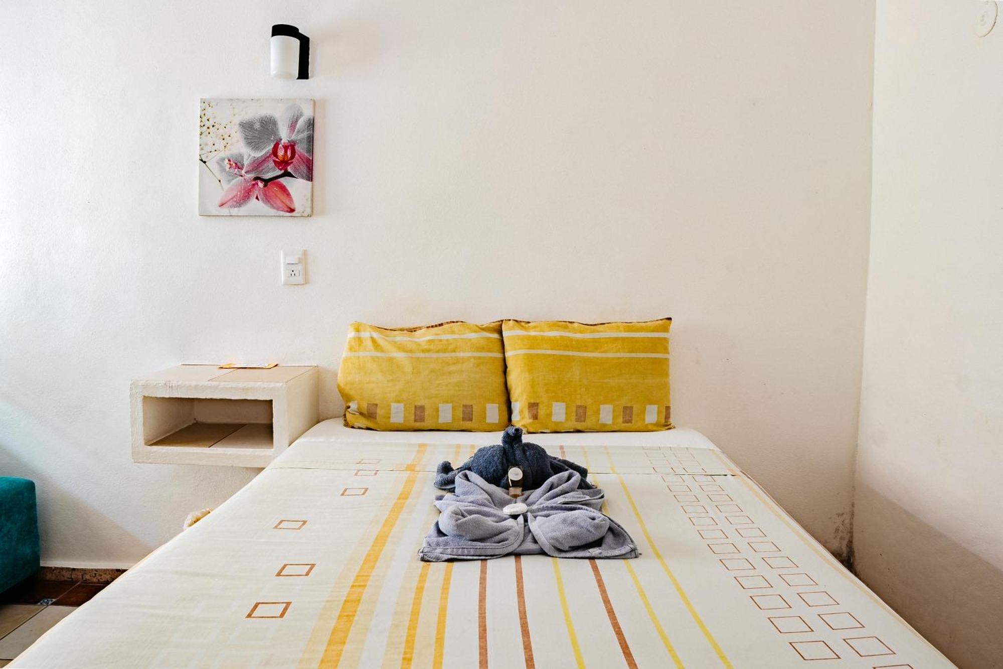 Hotel Posada Edem 科苏梅尔 外观 照片