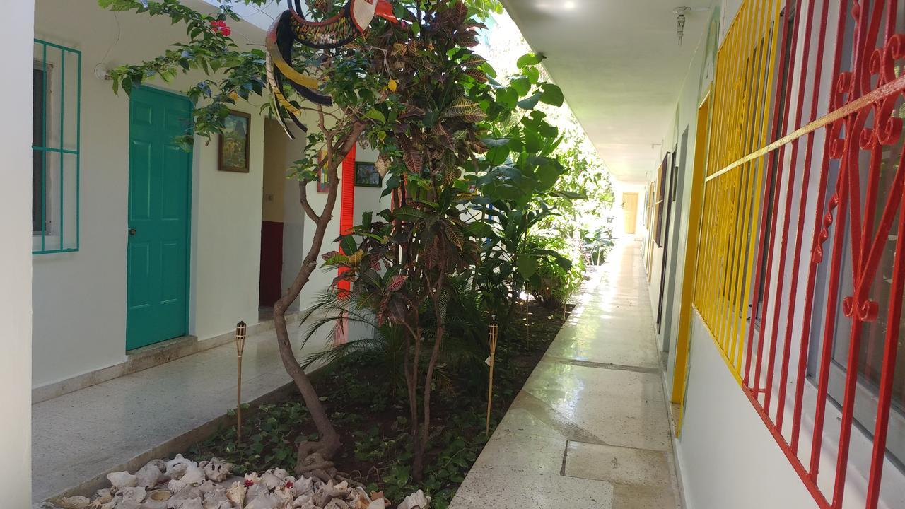 Hotel Posada Edem 科苏梅尔 外观 照片