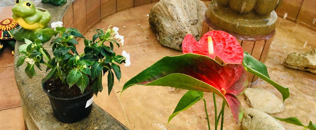 Hotel Posada Edem 科苏梅尔 外观 照片