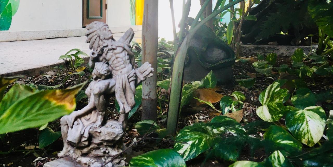 Hotel Posada Edem 科苏梅尔 外观 照片