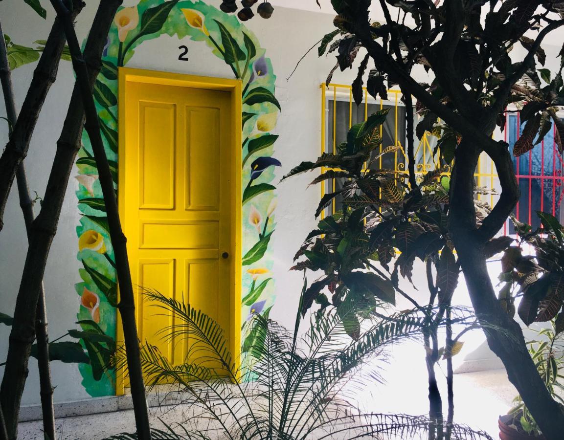 Hotel Posada Edem 科苏梅尔 外观 照片